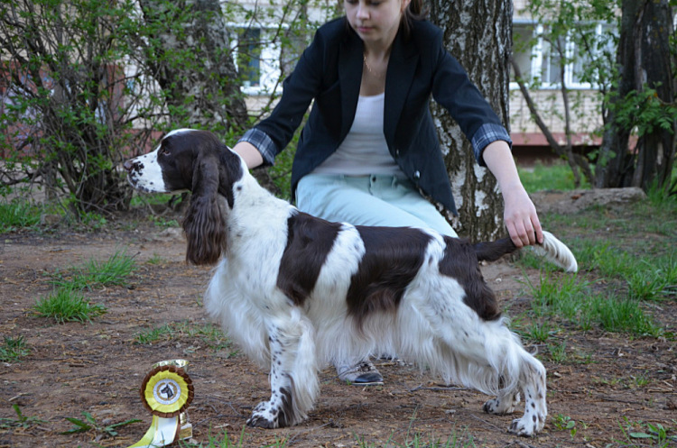 194947-8d1b5-95150932-m750x740-u320e4.jp